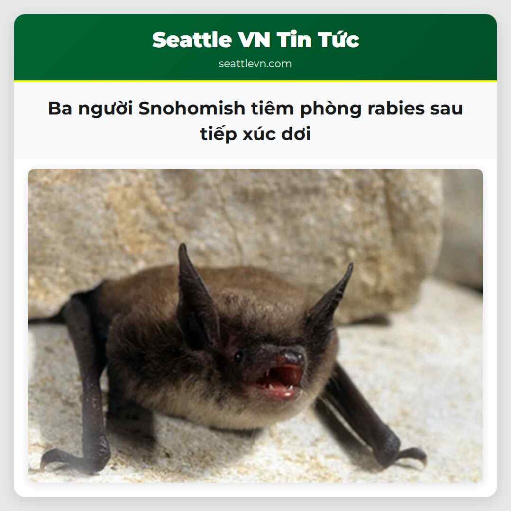 Ba người Snohomish tiêm phòng rabies sau tiếp xúc