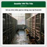 Số ca chó mắc parvo tăng cao tại Everett