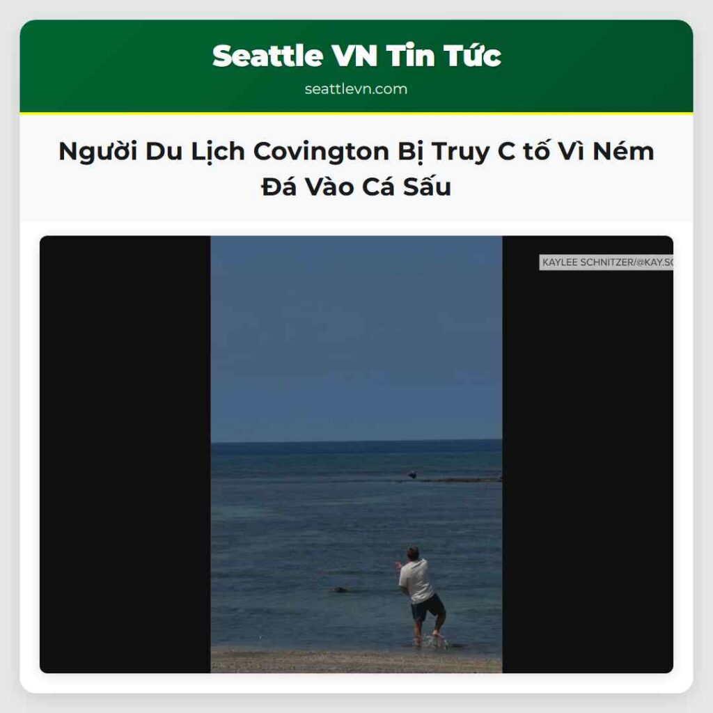 Người Du Lịch Covington Bị Truy C tố Vì Ném Đá
