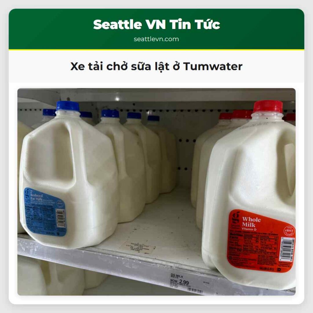 Xe tải chở sữa lật ở Tumwater