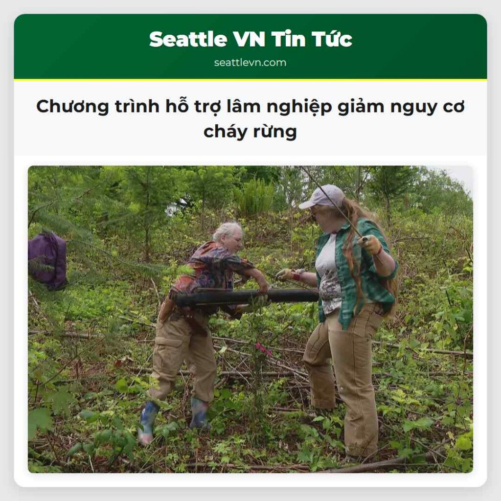 Chương trình hỗ trợ lâm nghiệp giảm nguy cơ cháy