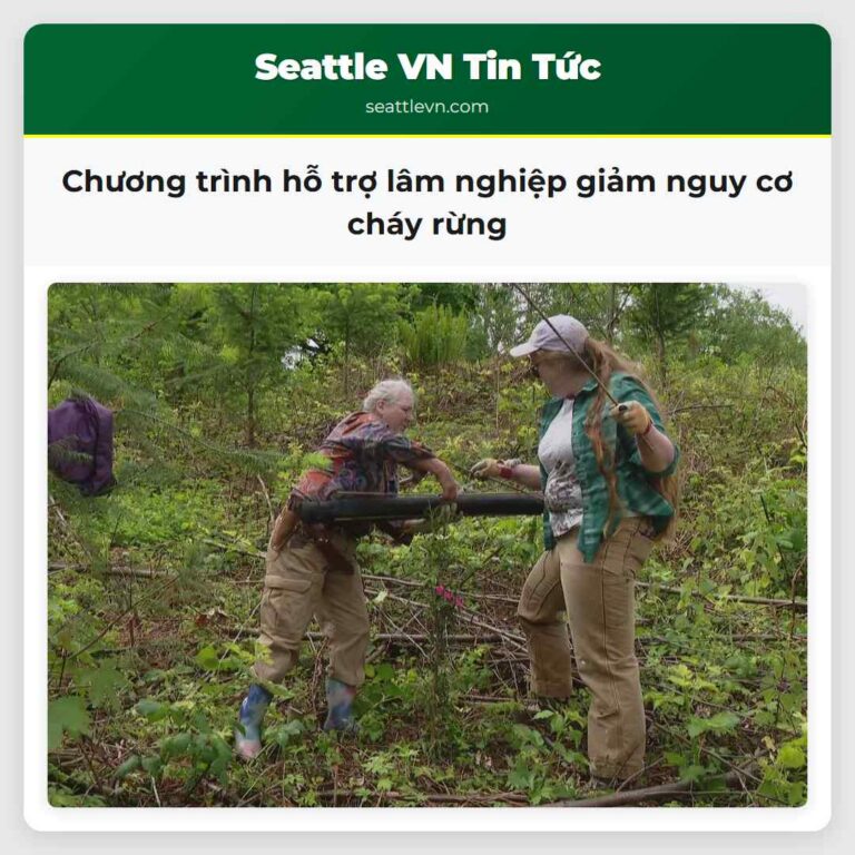 Chương trình hỗ trợ lâm nghiệp giảm nguy cơ cháy rừng