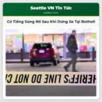 Có Tiếng Súng Nổ Sau Khi Dừng Xe Tại Bothell