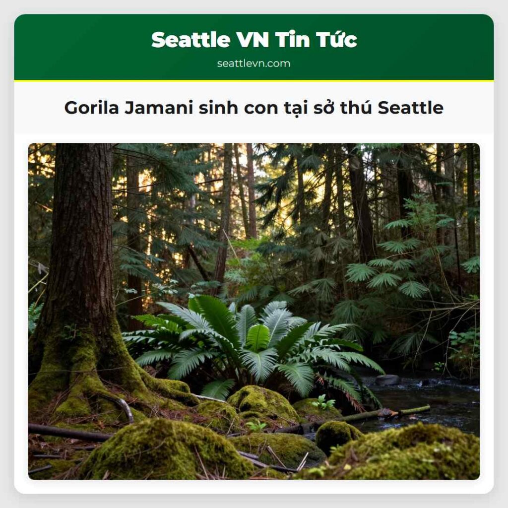 Gorila Jamani sinh con tại sở thú Seattle