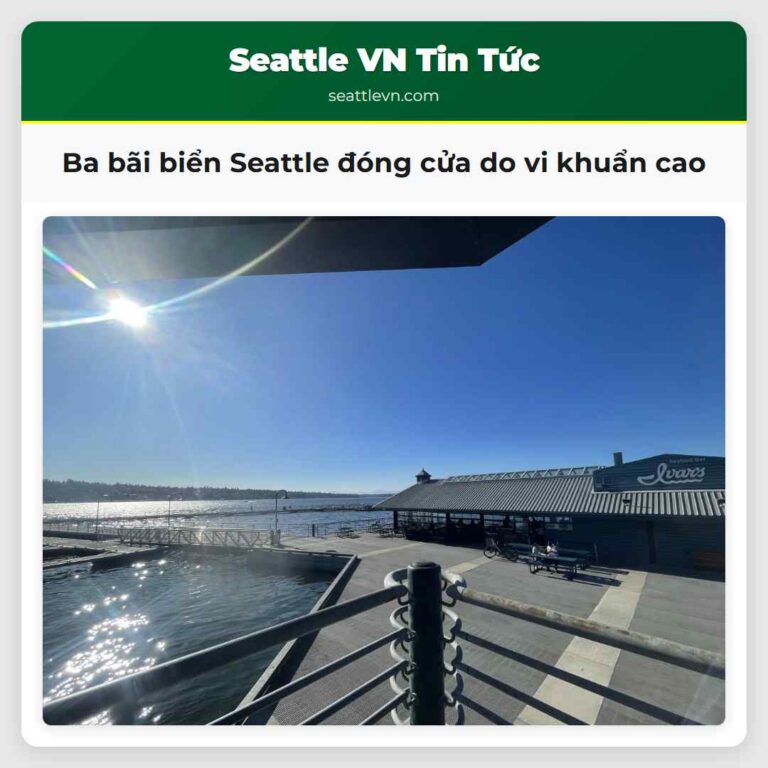 Ba bãi biển Seattle đóng cửa do vi khuẩn cao