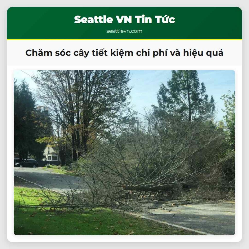 Chăm sóc cây tiết kiệm chi phí và hiệu quả