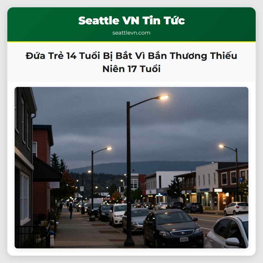 Đứa Trẻ 14 Tuổi Bị Bắt Vì Bắn Thương Thiếu Niên
