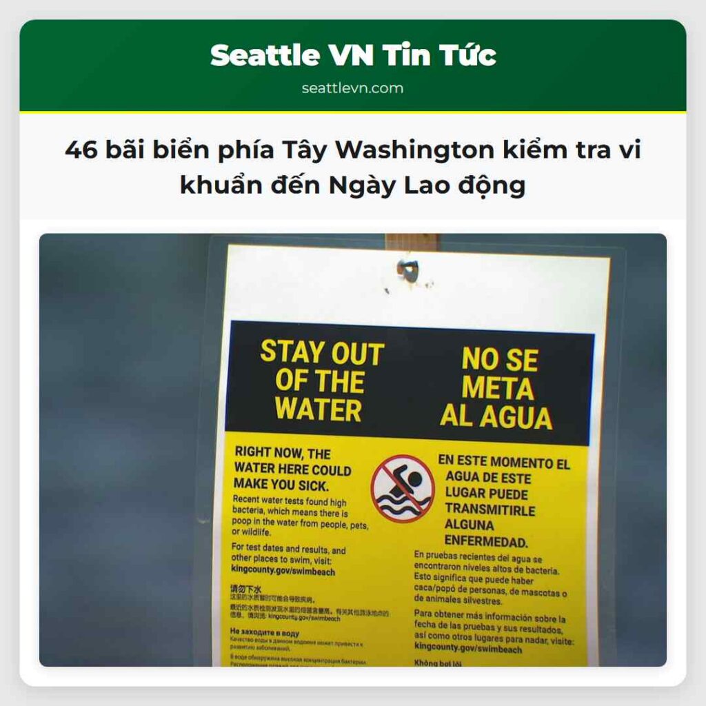 46 bãi biển phía Tây Washington kiểm tra vi khuẩn