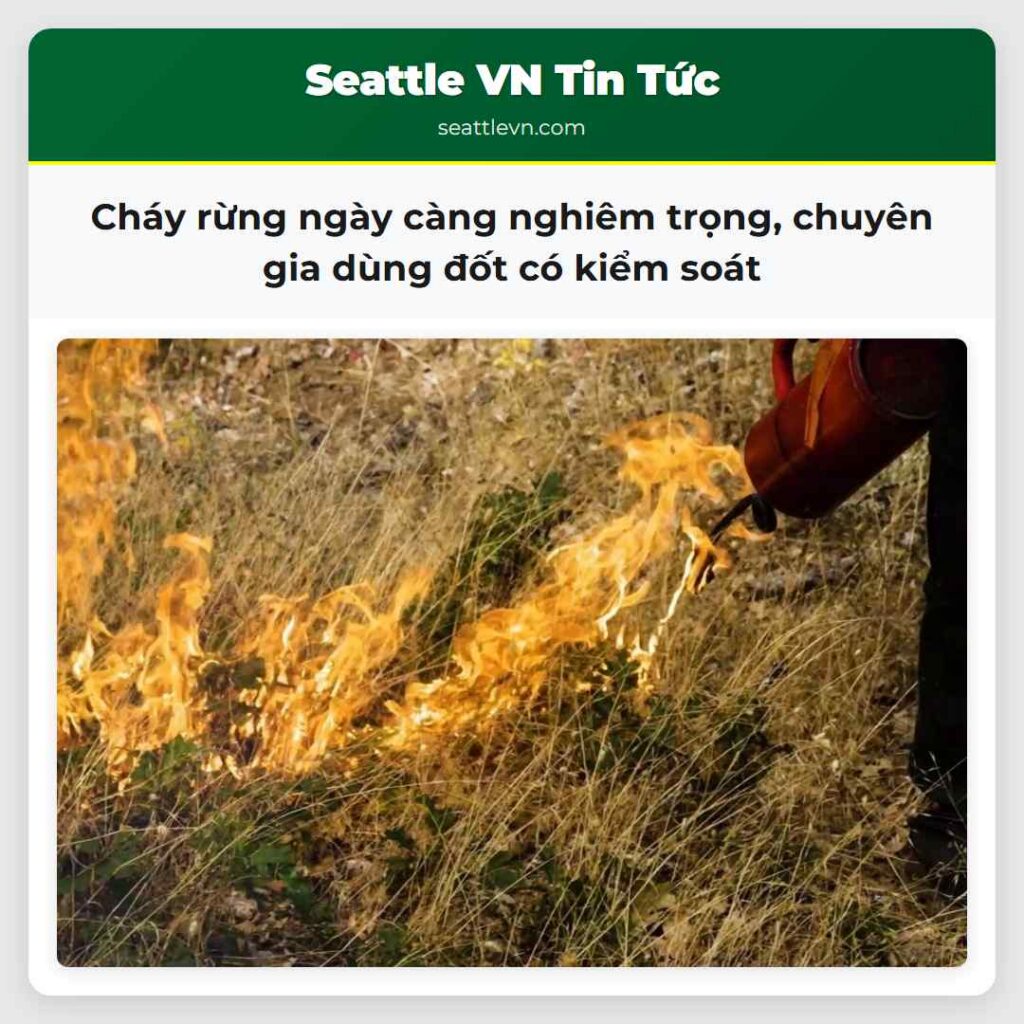 Cháy rừng ngày càng nghiêm trọng, chuyên gia dùng