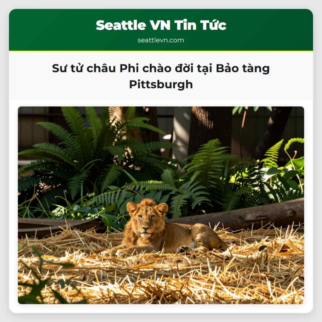 Sư tử châu Phi chào đời tại Bảo tàng Pittsburgh