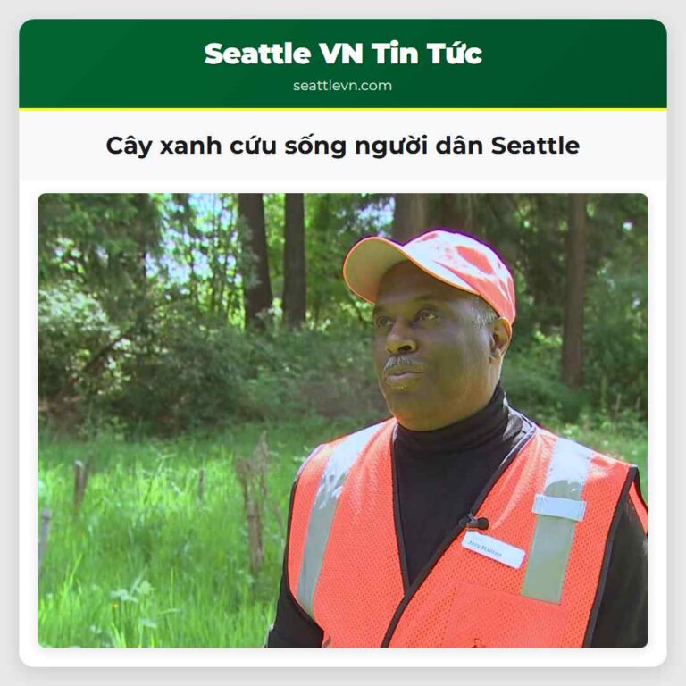 Cây xanh cứu sống người dân Seattle