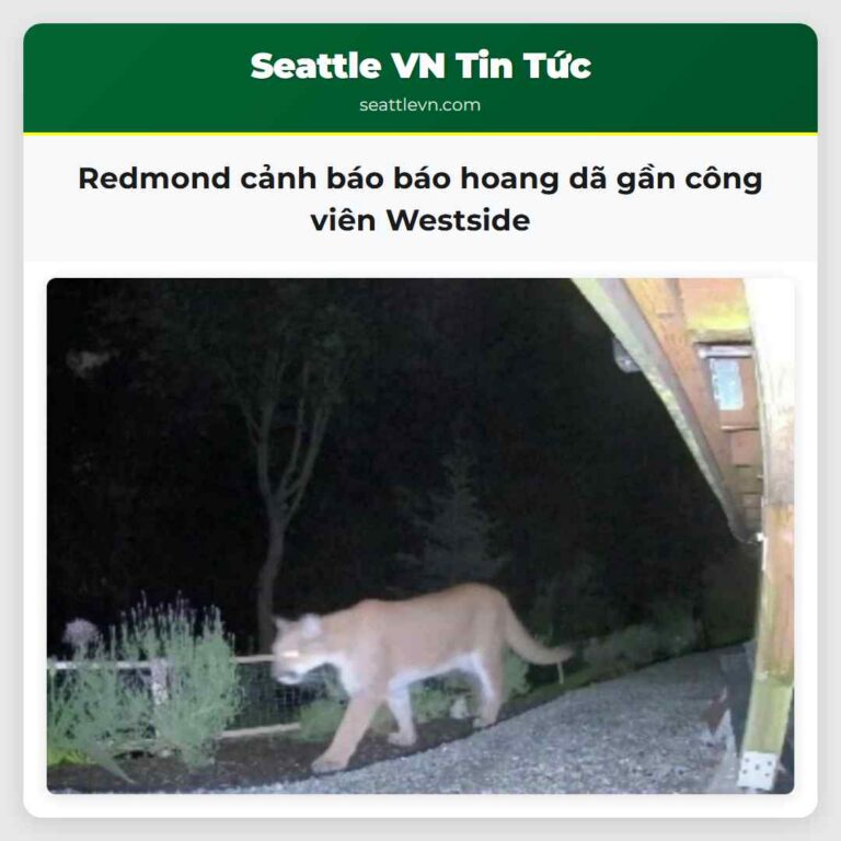 Redmond cảnh báo báo hoang dã gần công viên Westside