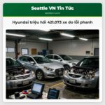 Hyundai triệu hồi 421.073 xe do lỗi phanh