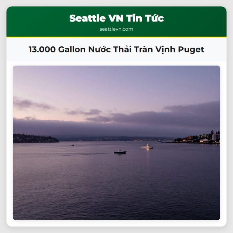 13.000 Gallon Nước Thải Tràn Vịnh Puget