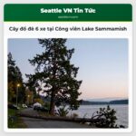 Cây đổ đè 6 xe tại Công viên Lake Sammamish