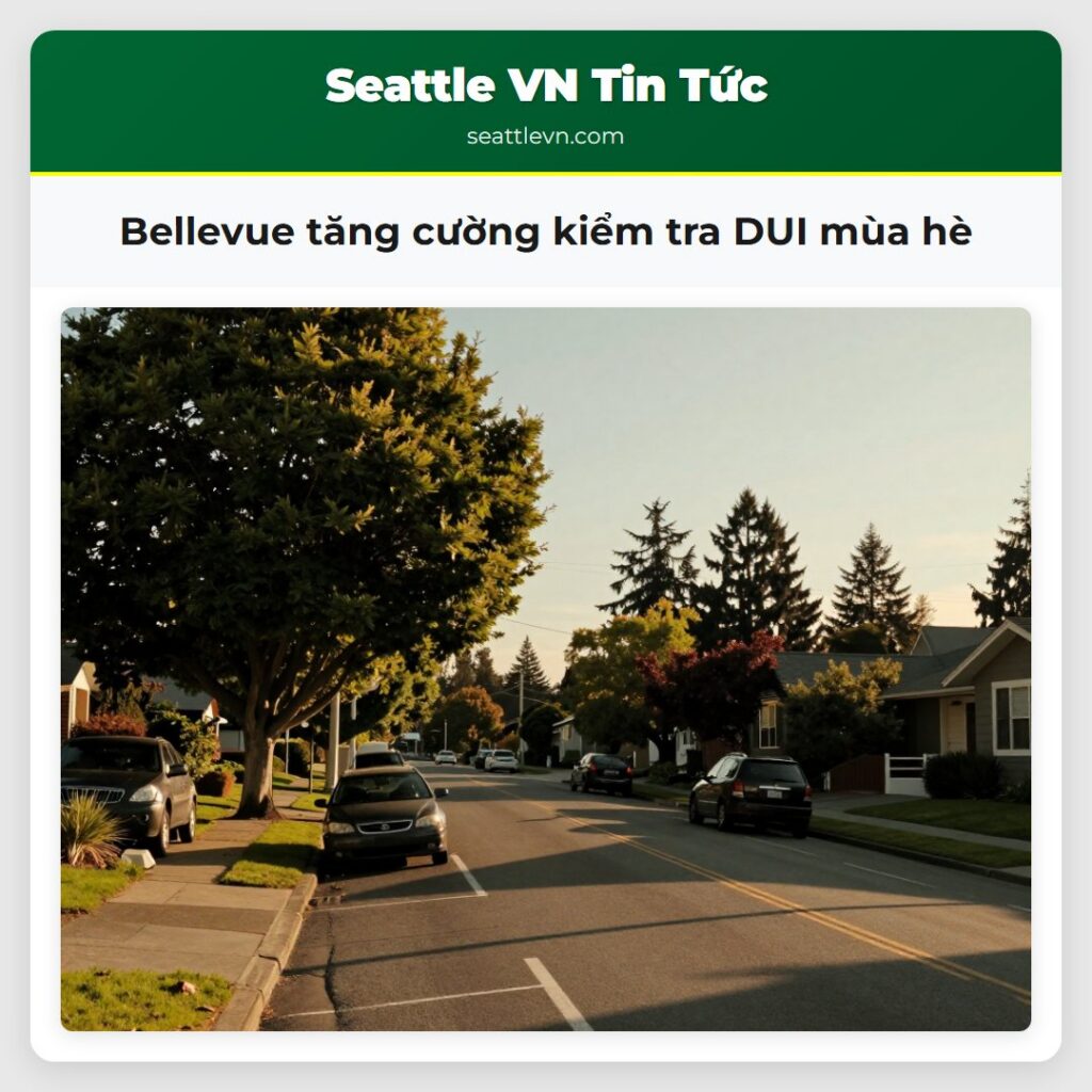 Bellevue tăng cường kiểm tra DUI mùa hè