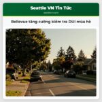 Bellevue tăng cường kiểm tra DUI mùa hè