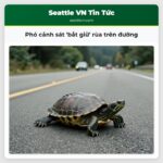 Phó cảnh sát bắt giữ rùa trên đường