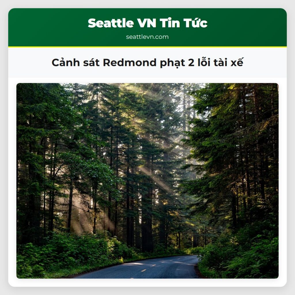 Cảnh sát Redmond phạt 2 lỗi tài xế