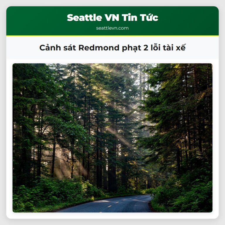 Cảnh sát Redmond phạt 2 lỗi tài xế