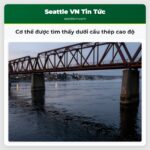 Cơ thể được tìm thấy dưới cầu thép cao độ