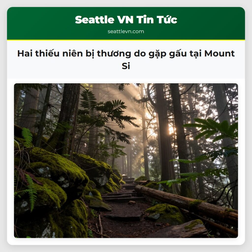 Hai thiếu niên bị thương do gặp gấu tại Mount Si