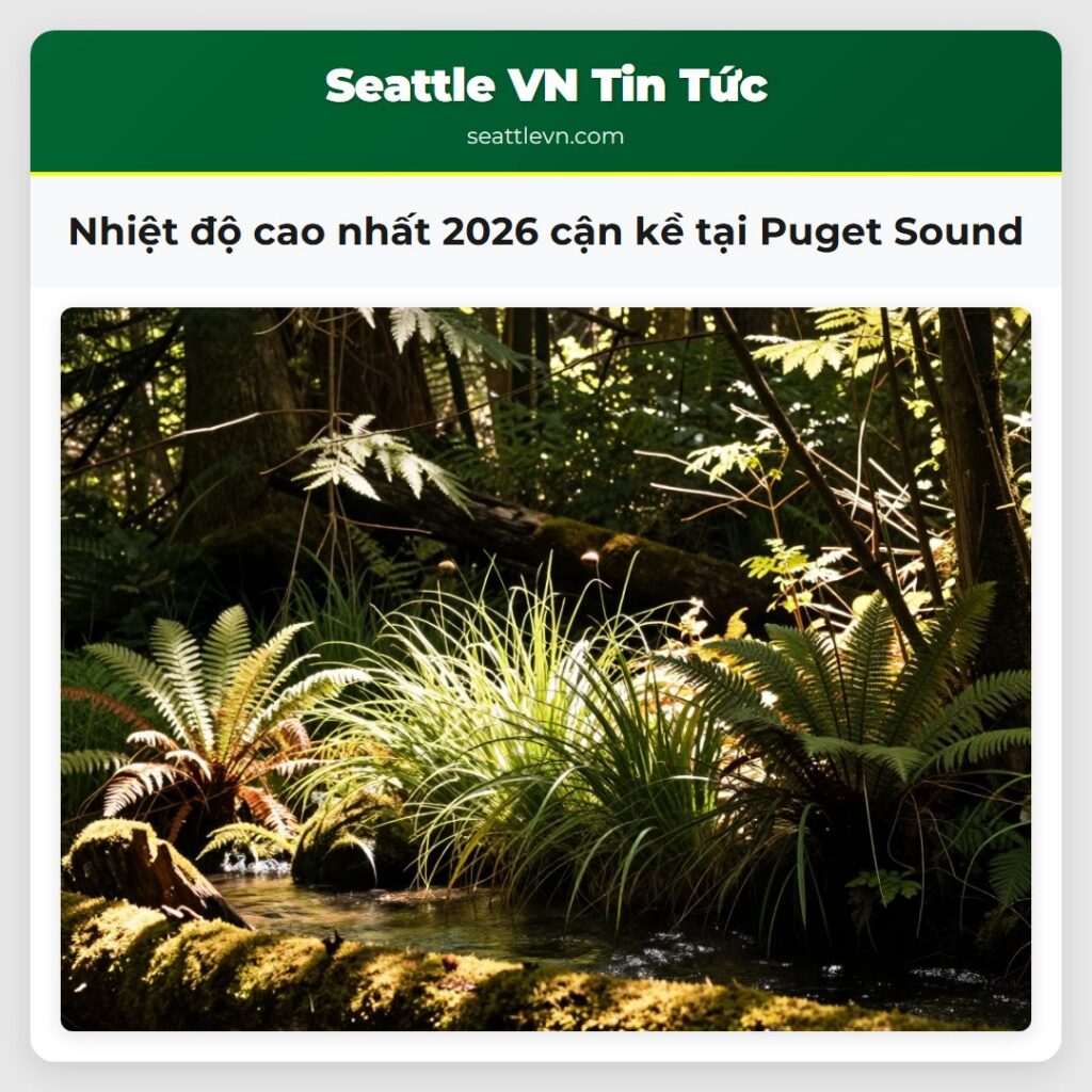 Nhiệt độ cao nhất 2026 cận kề tại Puget Sound