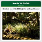Nhiệt độ cao nhất 2026 cận kề tại Puget Sound