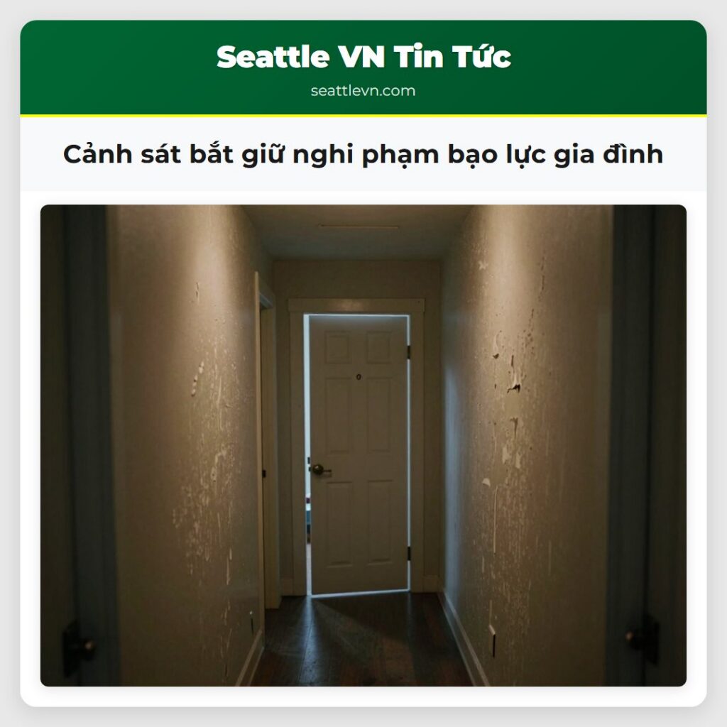 Cảnh sát bắt giữ nghi phạm bạo lực gia đình