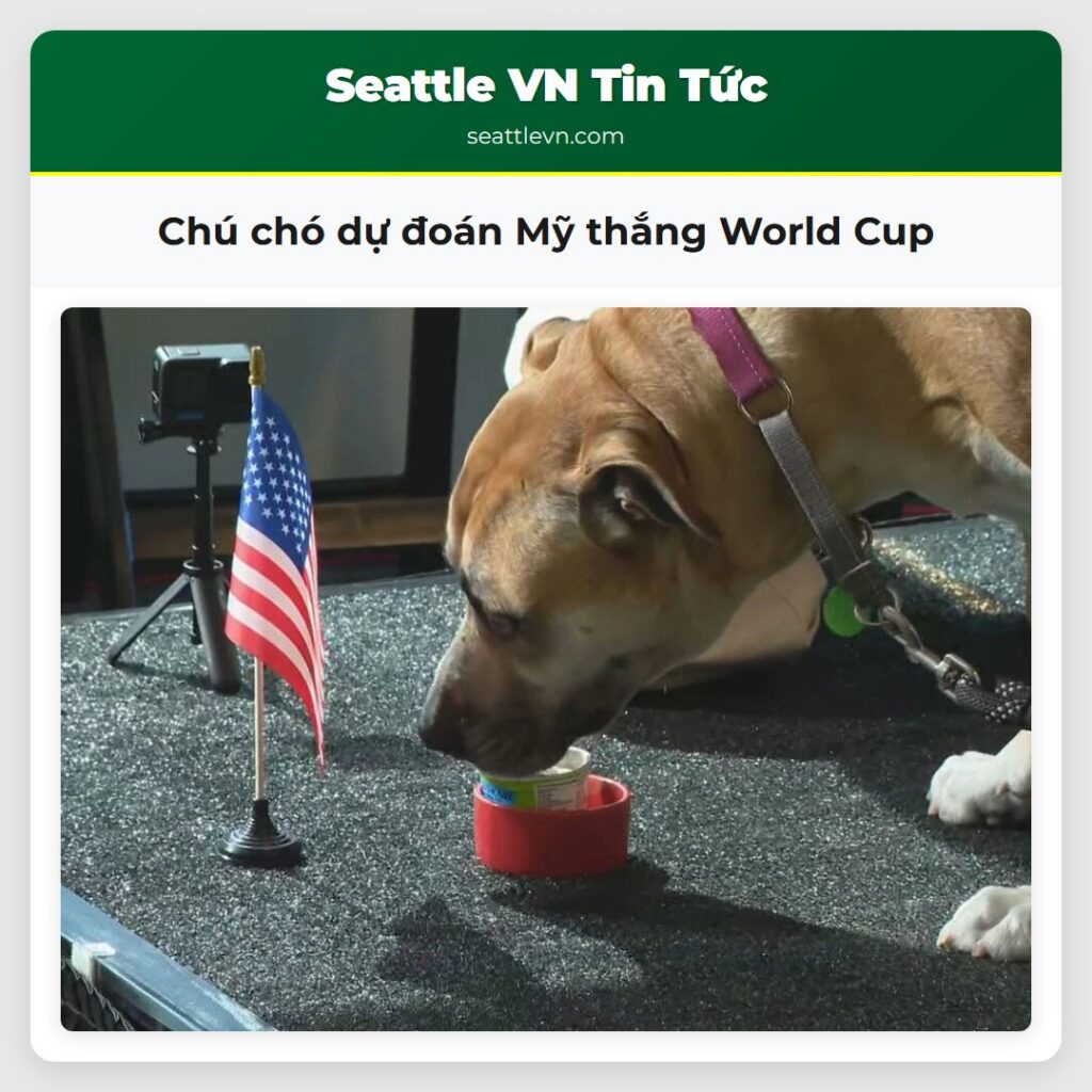 Chú chó dự đoán Mỹ thắng World Cup
