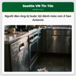 Người đàn ông bị buộc tội đánh mèo con ở San Antonio