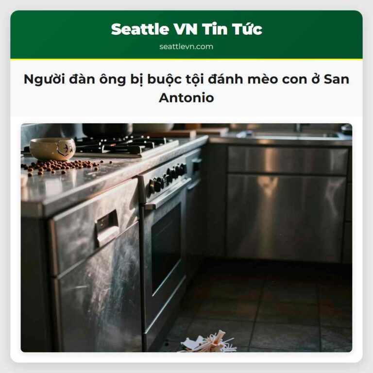 Người đàn ông bị buộc tội đánh mèo con ở San Antonio