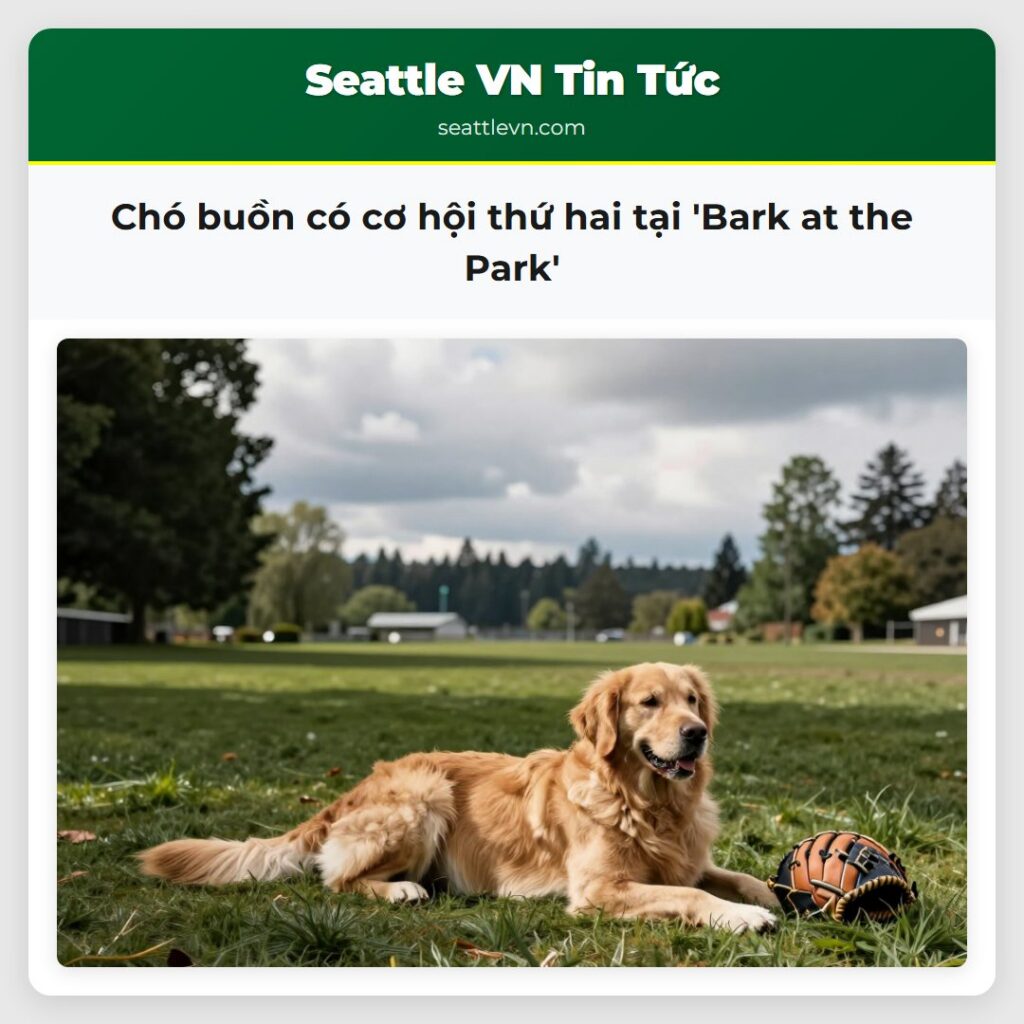 Chó buồn có cơ hội thứ hai tại 'Bark at the Park'