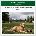 Chó buồn có cơ hội thứ hai tại Bark at the Park