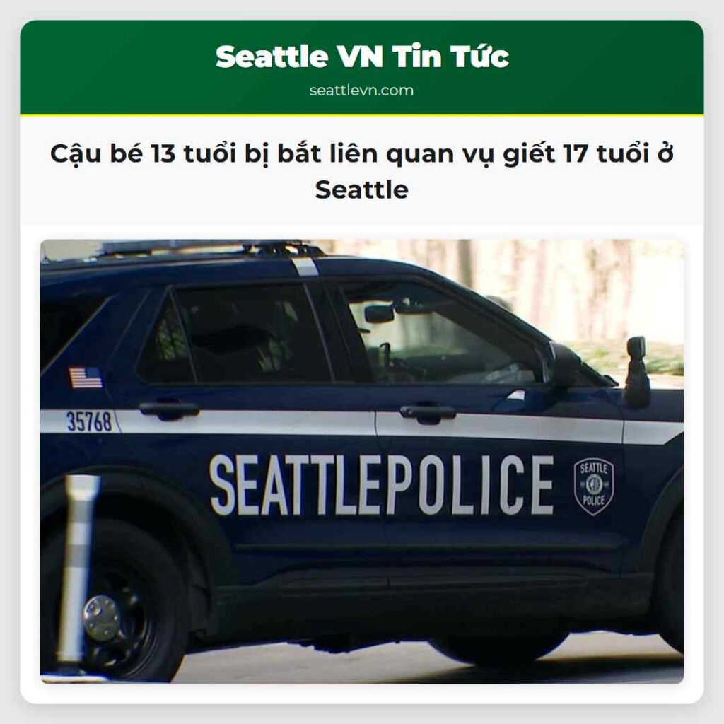 Cậu bé 13 tuổi bị bắt liên quan vụ giết 17 tuổi ở