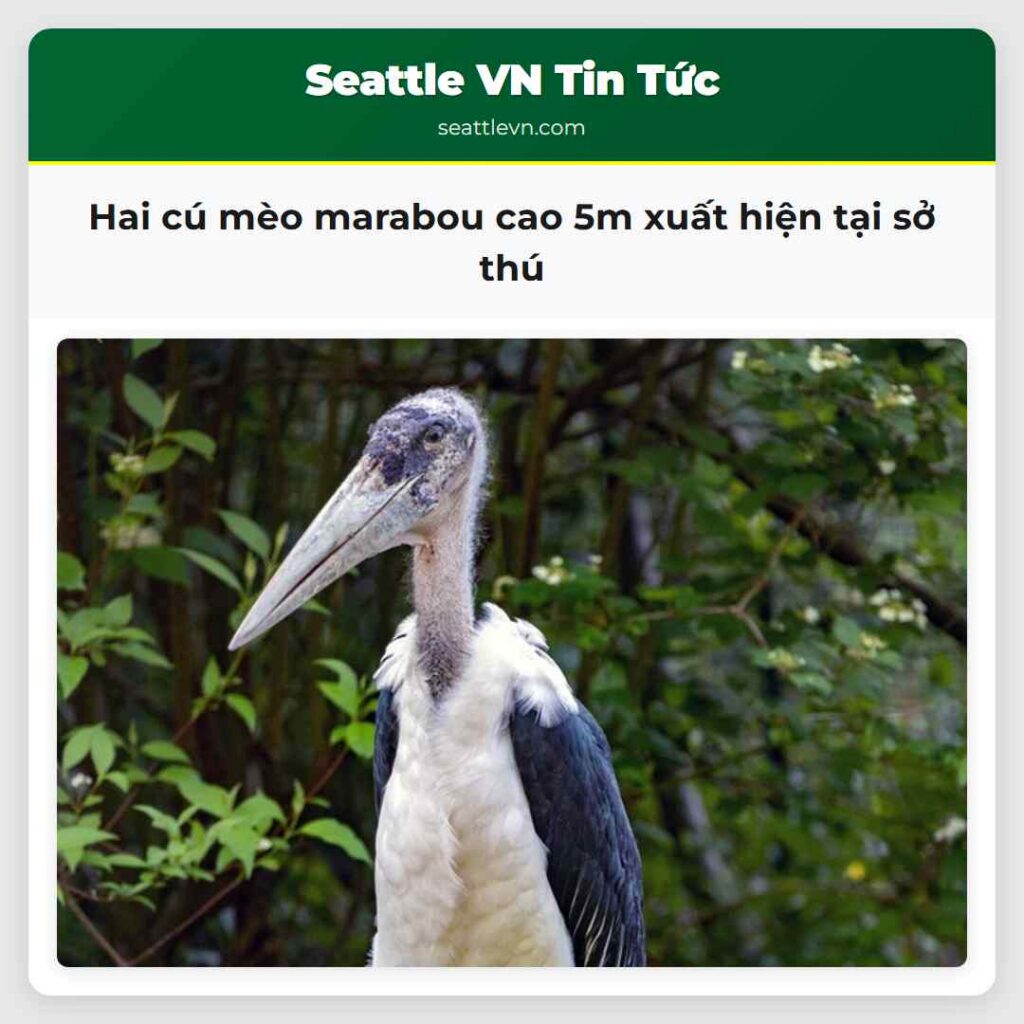 Hai cú mèo marabou cao 5m xuất hiện tại sở thú