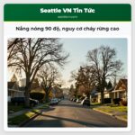 Nắng nóng 90 độ nguy cơ cháy rừng cao