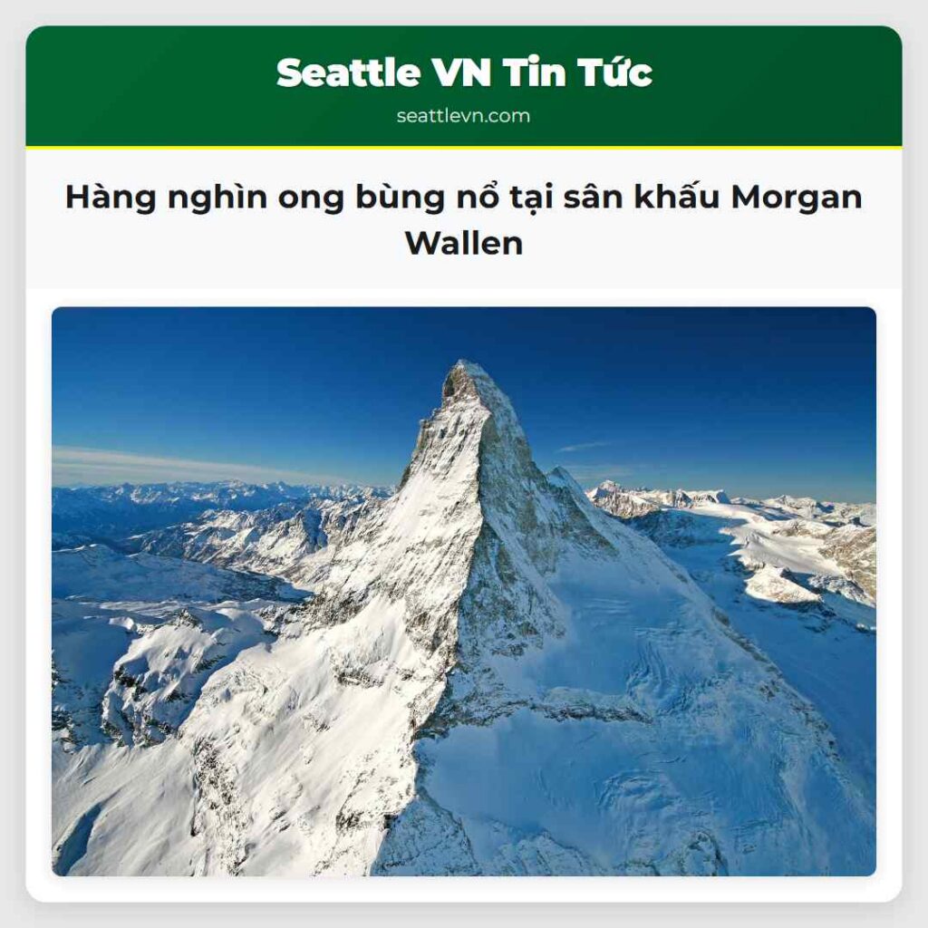 Hàng nghìn ong bùng nổ tại sân khấu Morgan Wallen