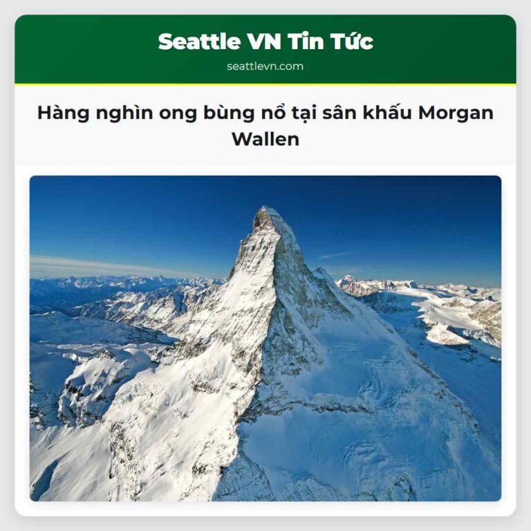 Hàng nghìn ong bùng nổ tại sân khấu Morgan Wallen