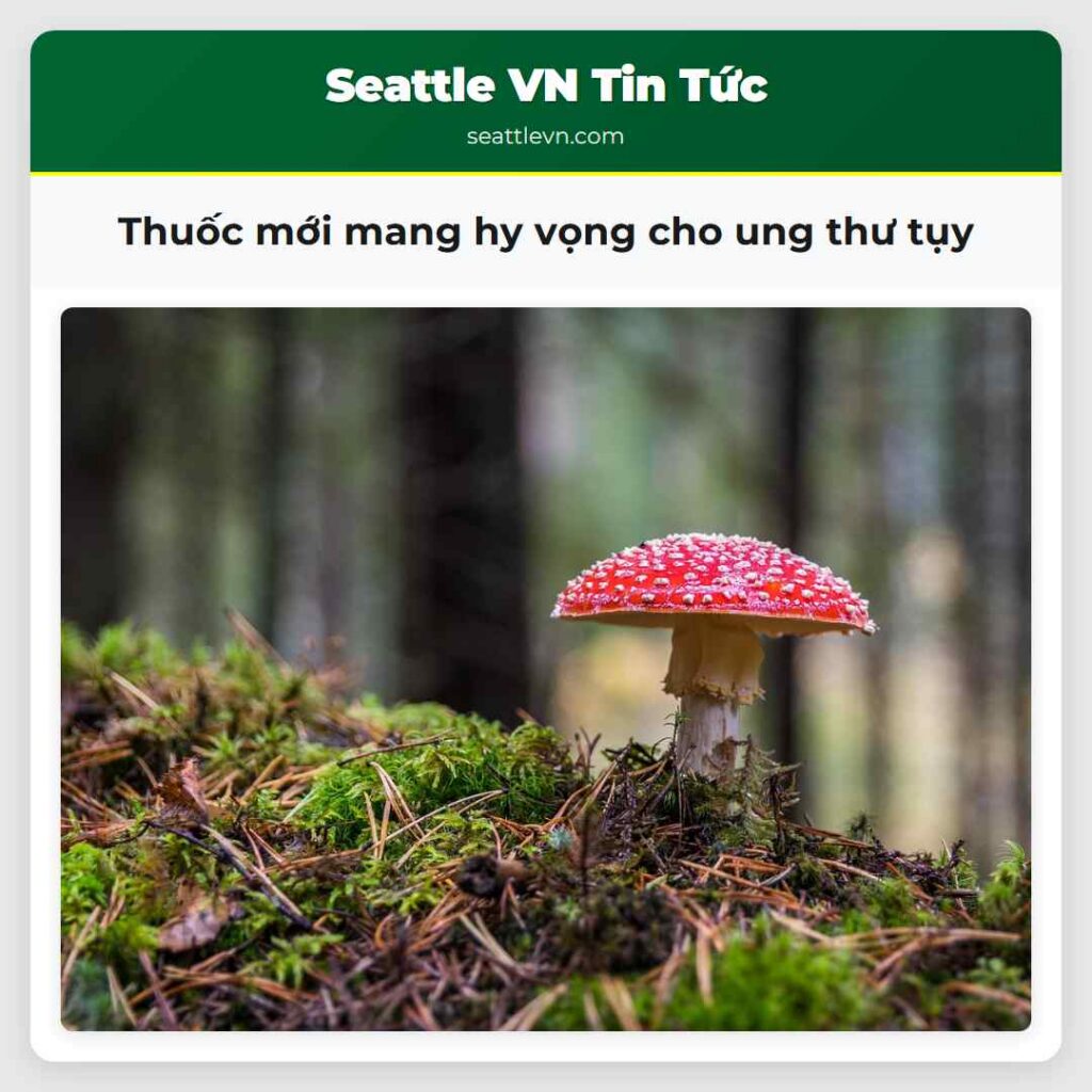 Thuốc mới mang hy vọng cho ung thư tụy