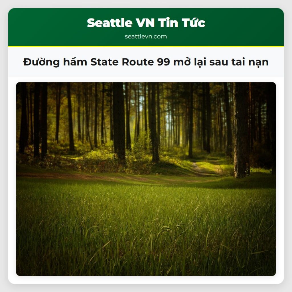 Đường hầm State Route 99 mở lại sau tai nạn