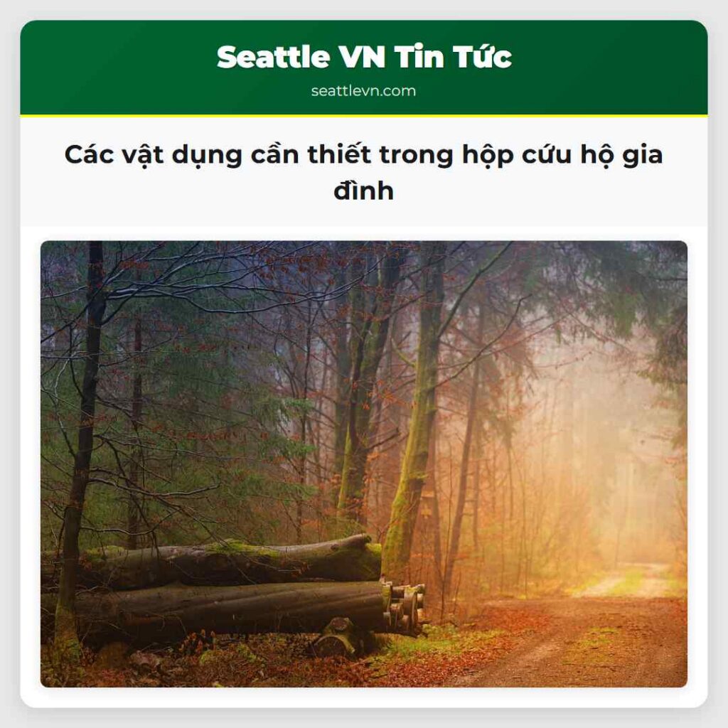 Các vật dụng cần thiết trong hộp cứu hộ gia đình