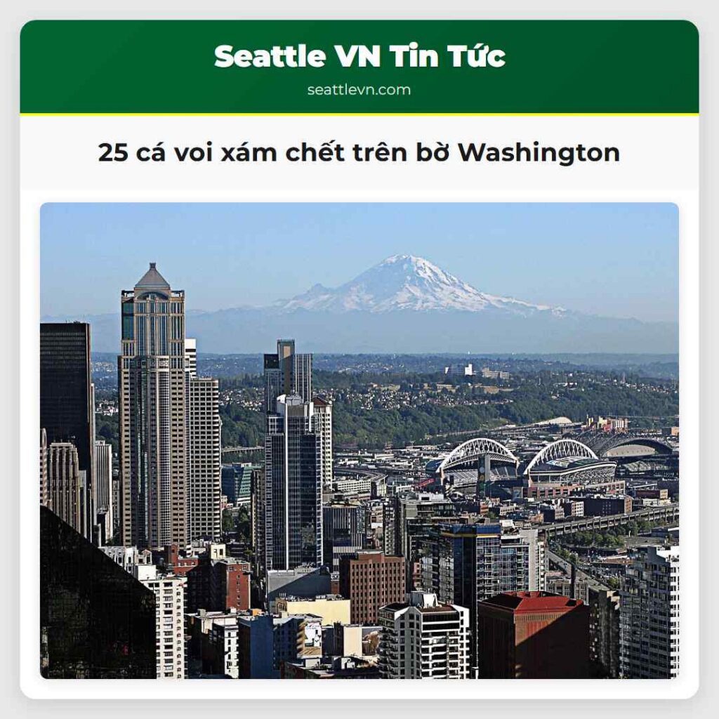 25 cá voi xám chết trên bờ Washington