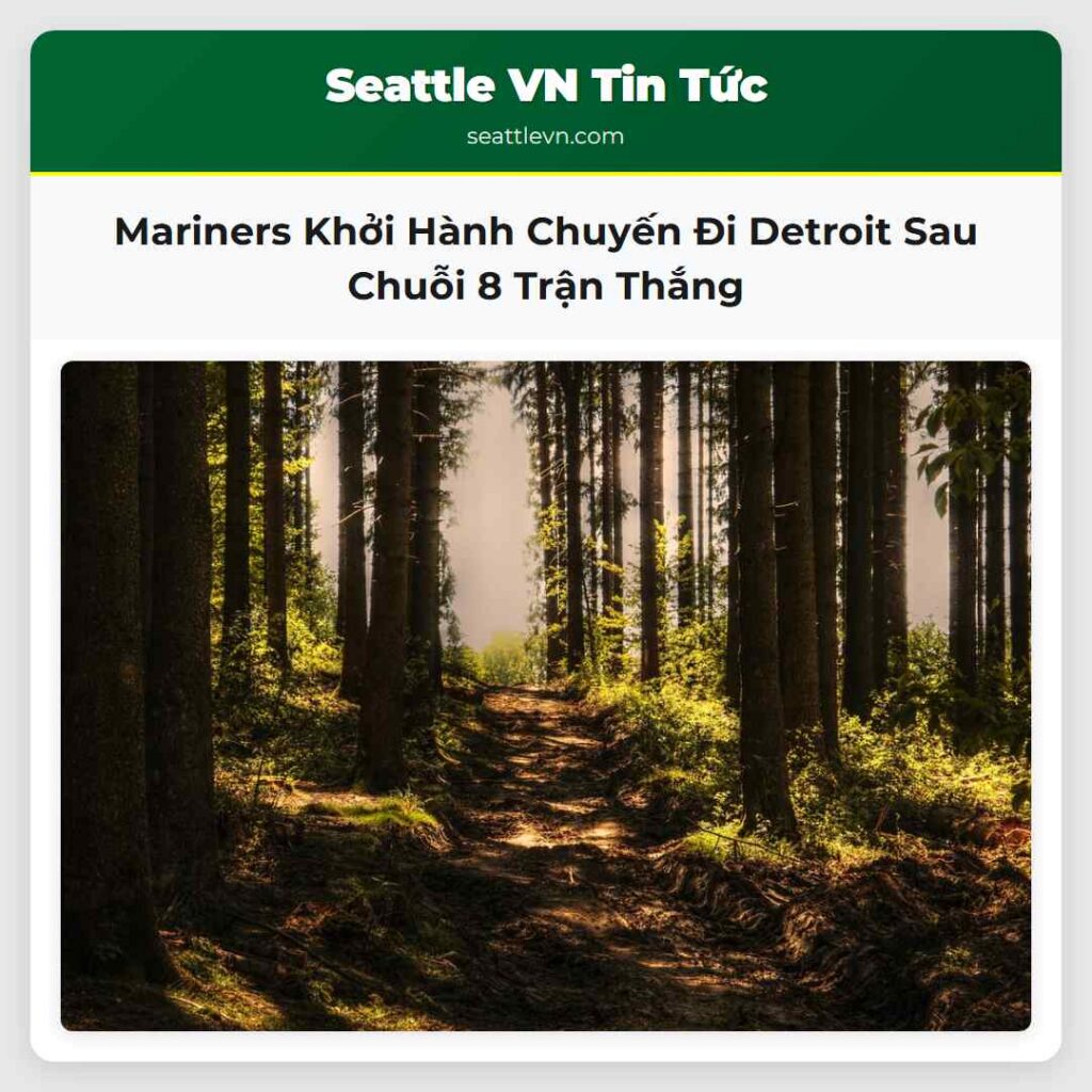 Mariners Khởi Hành Chuyến Đi Detroit Sau Chuỗi 8