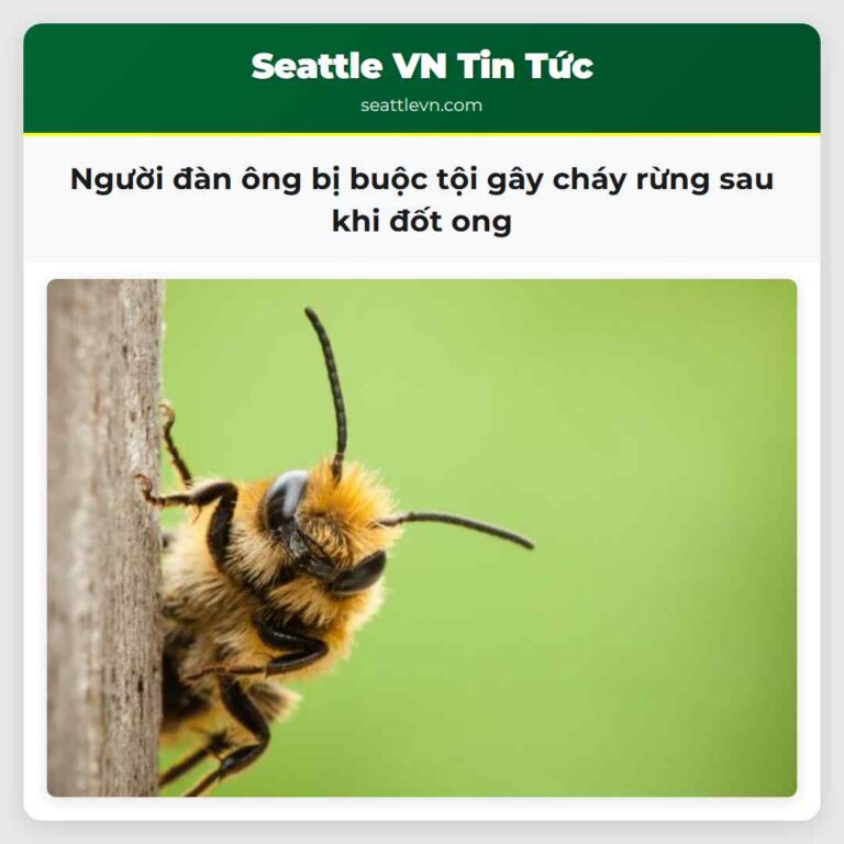 Người đàn ông bị buộc tội gây cháy rừng sau khi đốt ong