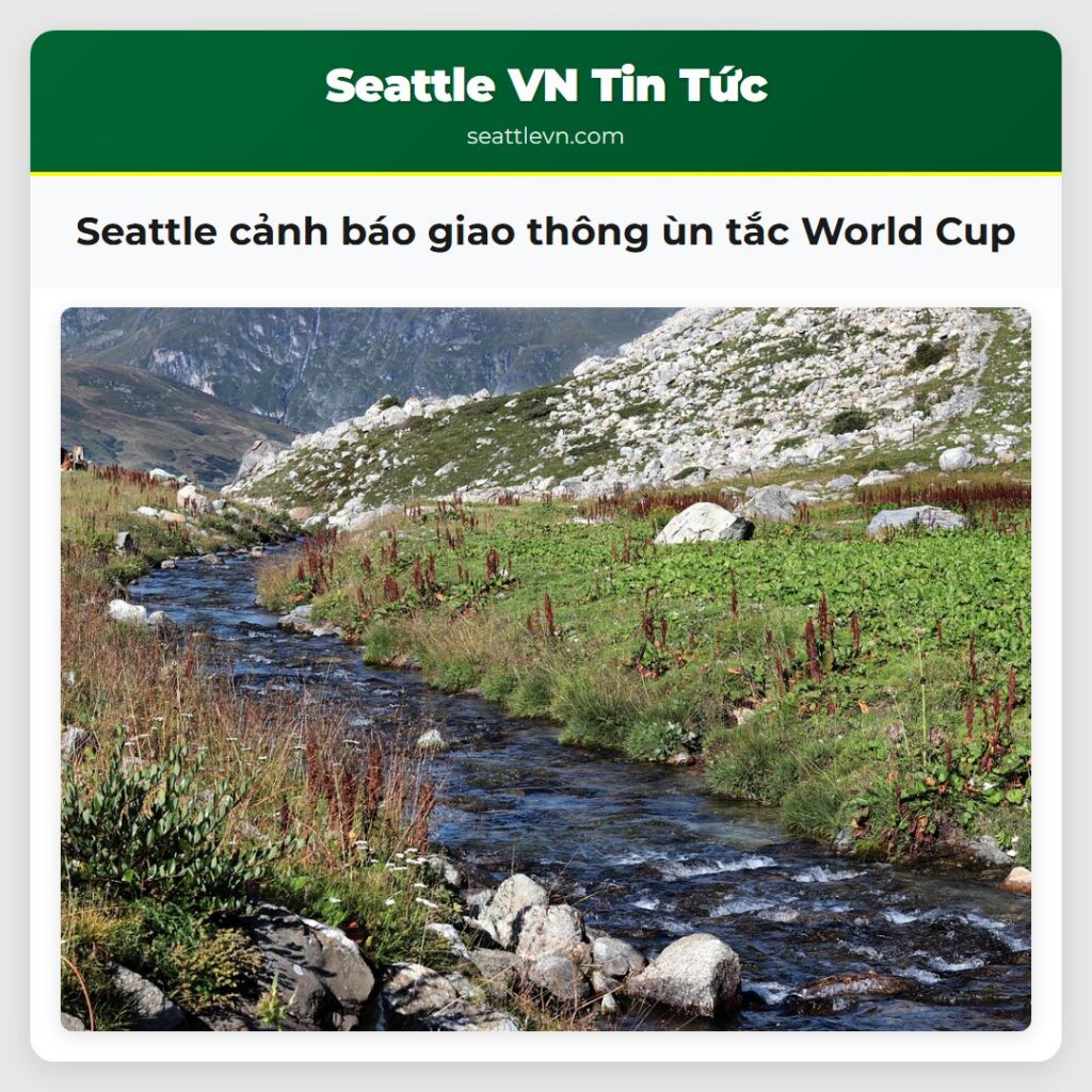 Seattle cảnh báo giao thông ùn tắc World Cup