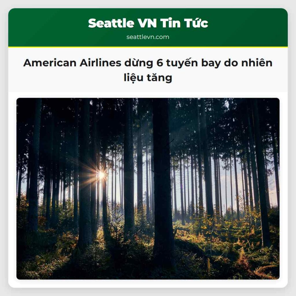 American Airlines dừng 6 tuyến bay do nhiên liệu