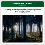 Giá xăng Washington giảm chuyên gia cảnh báo tăng 65 USD