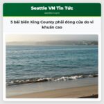 5 bãi biển King County phải đóng cửa do vi khuẩn cao