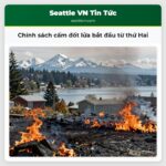 Chính sách cấm đốt lửa bắt đầu từ thứ Hai